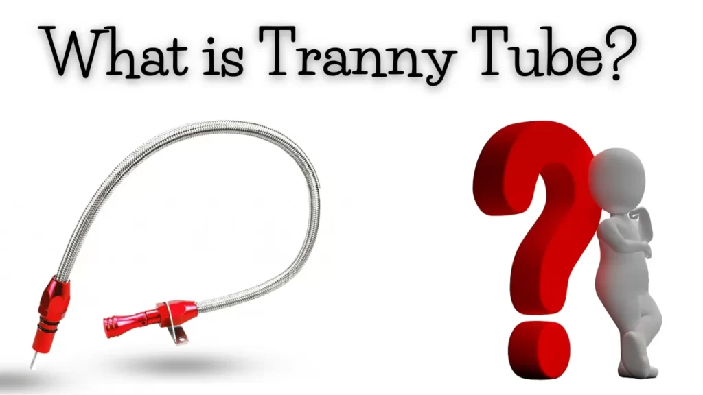 What-is-Tranny-Tube-1024x576-1 Blog